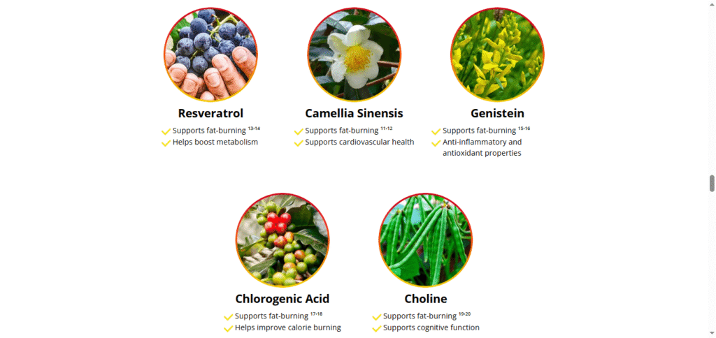 Hepatoburn Ingredients