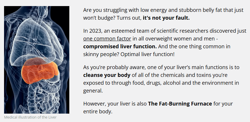 What Is Hepato Burn